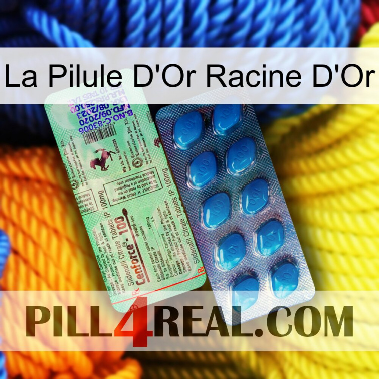 The Golden Root Gold Pill new02